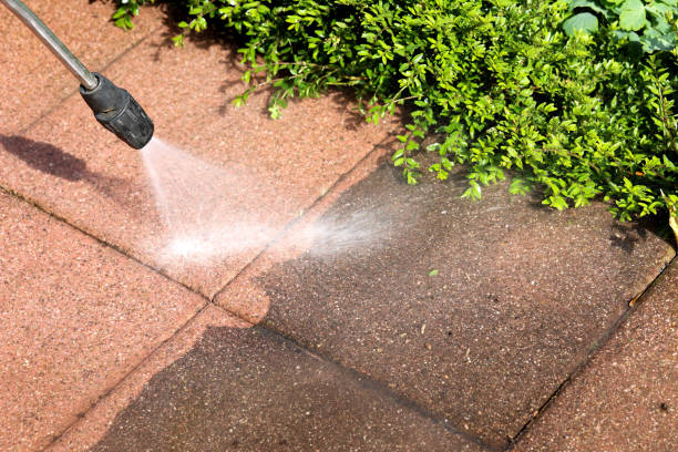 Best Best Pressure Washing Companies  in Tangent, OR